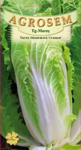 Varza chinezeasca - Granaat (1.5 g) seminte , Agrosem